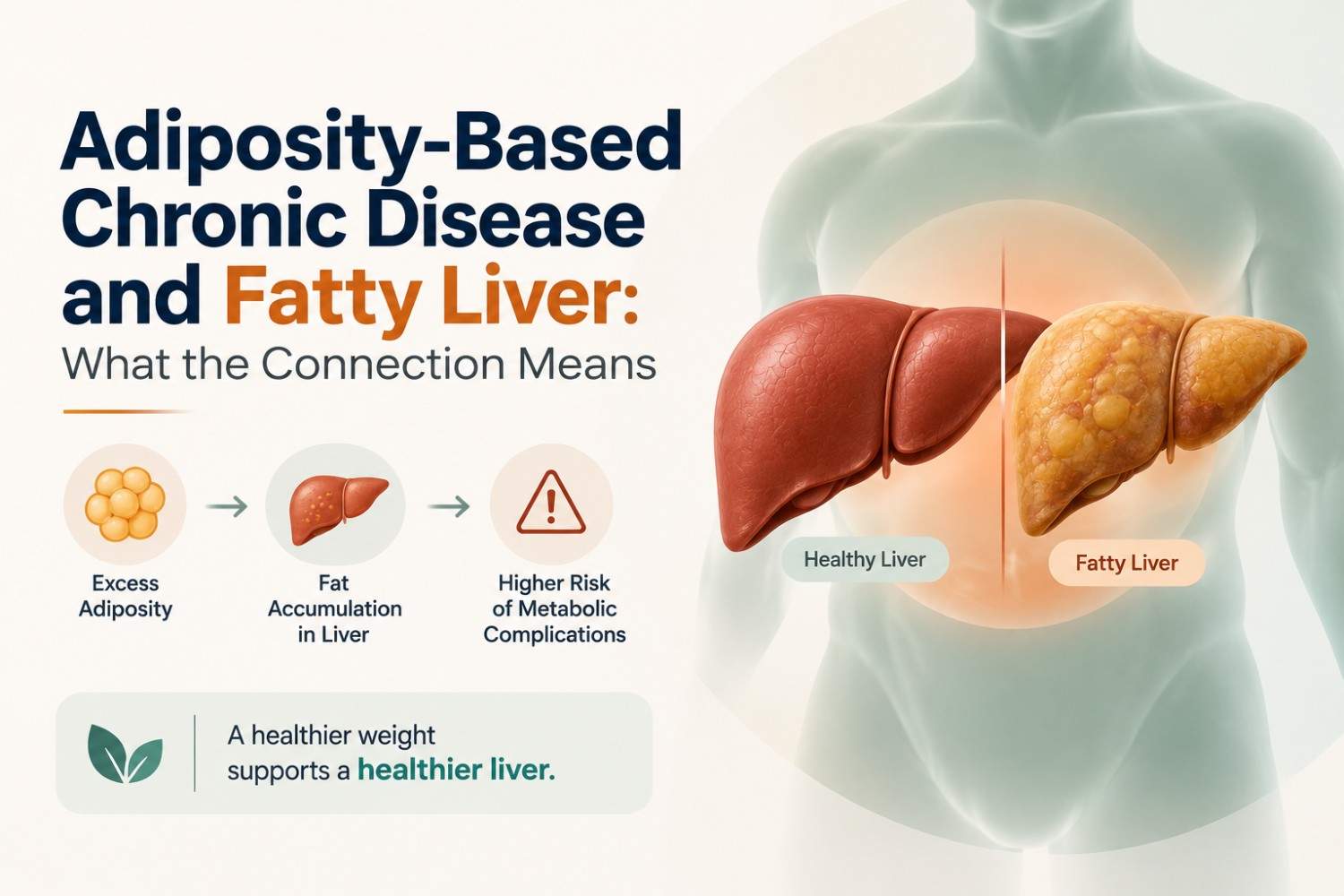 Adiposity-Based Chronic Disease and Fatty Liver: What the Connection Means