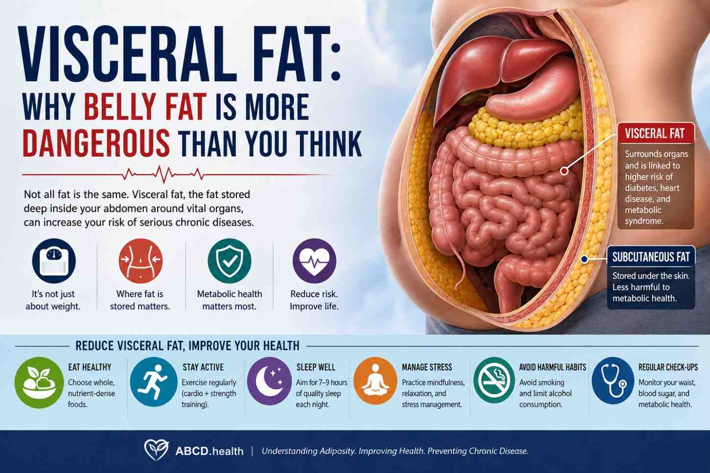 Visceral Fat: Why Belly Fat Is More Dangerous Than You Think